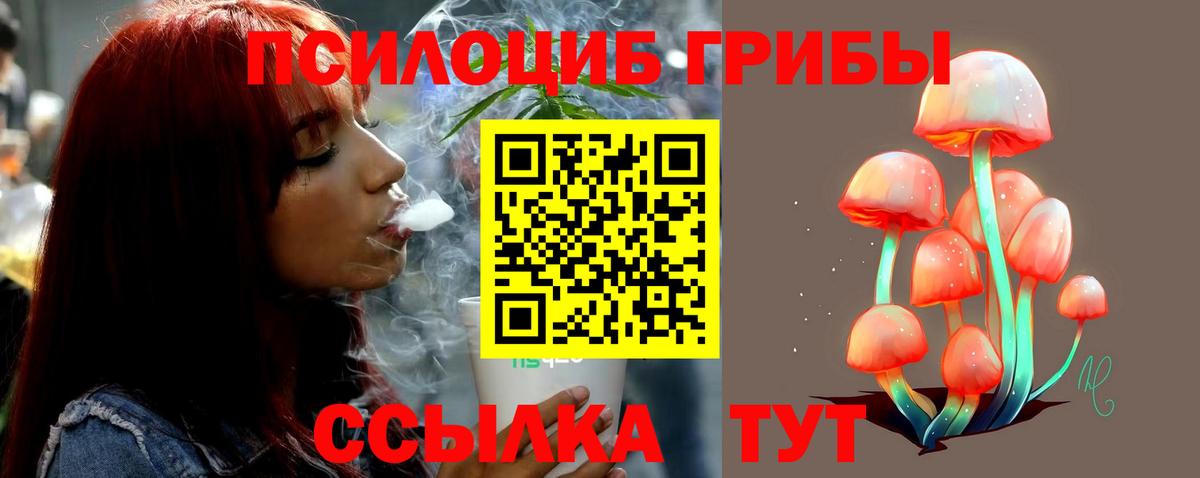 Псилоцибиновые грибы мухоморы  Псилоцибиновые грибы ЛСД  Вход с VPN  Сертолово 
